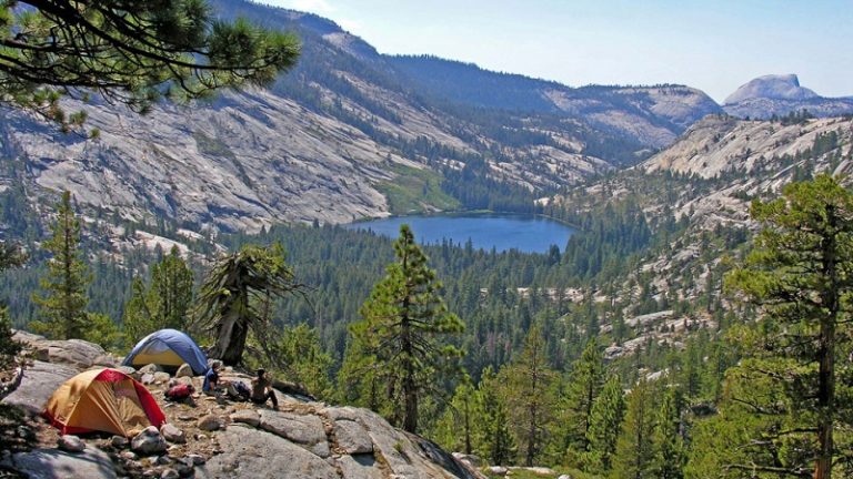 Yosemite National Park Facts: How To Visit And Where To Stay