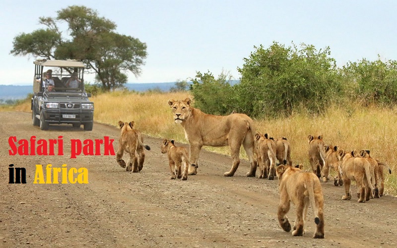 best safari park in Africa