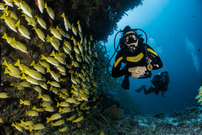 Scuba diving: the best places in the Mediterranean