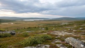 How to Explore the Northern Scandinavian Tundra: A Complete Guide for Adventurers