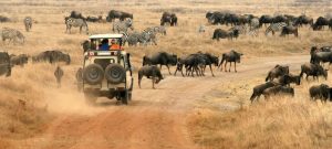 Travelers from California preparing for an African safari adventure trip